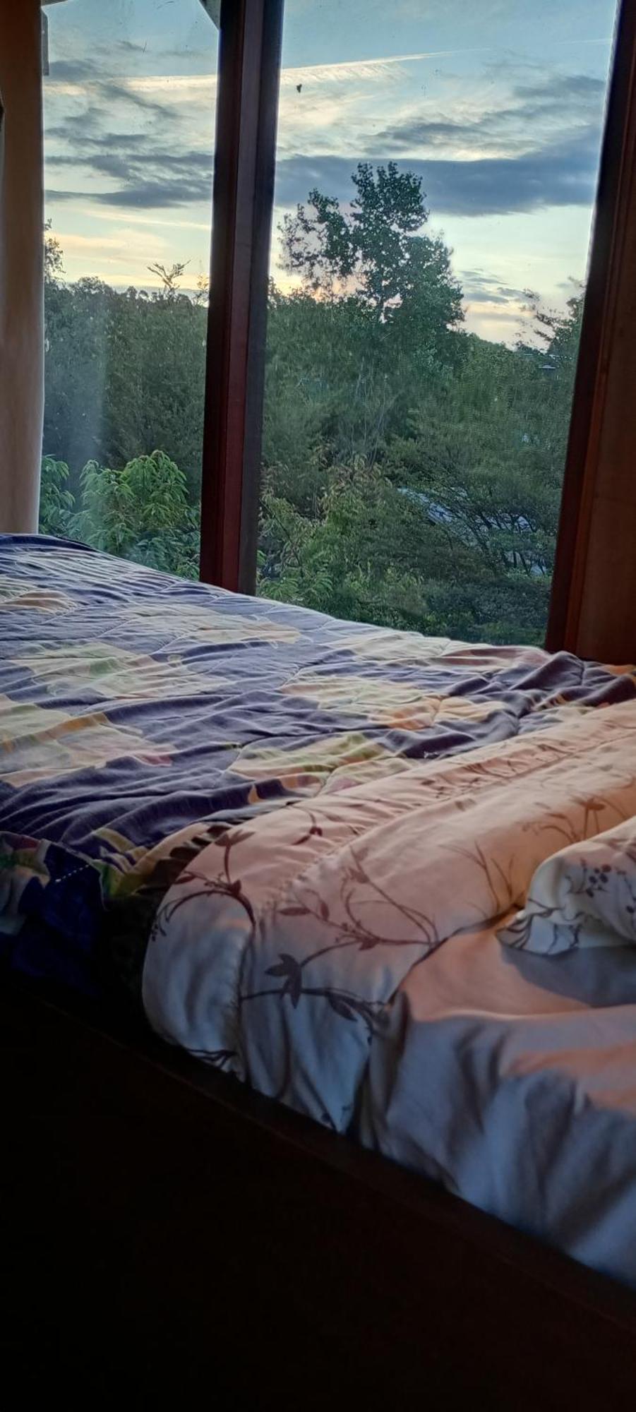 Hostal Quillelhue Pucón Eksteriør billede